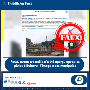 Faux, aucun crocodile n’a été aperçu après les pluies à Bukavu : l’image a été manipulée