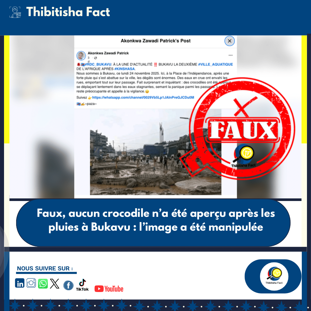 Faux, aucun crocodile n’a été aperçu après les pluies à Bukavu : l’image a été manipulée